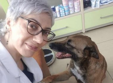 女子坚持救助流浪狗，有些狗狗受伤后还会向她求助，善良的人很美