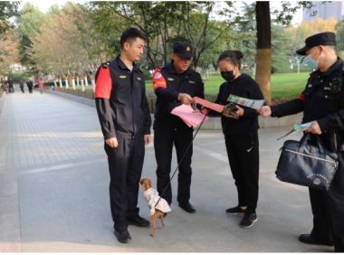 文明养犬 别掉“链子”