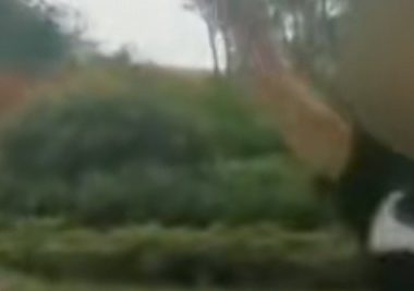 安徽一女子宠物狗咬伤孩子，自称“几千万也赔得起”，警方回应了