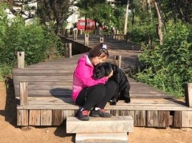 大陆导盲犬珍妮服务8年后退休 陪伴养老的新主人