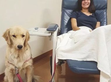 金毛犬照料生病主人家体贴入微，洗衣服脱袜子，无所不能