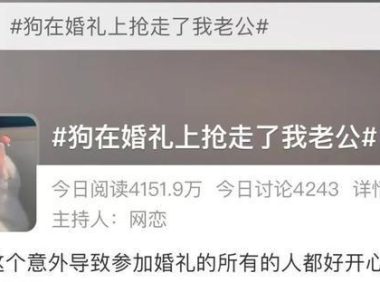 “狗在婚礼上抢走了我老公”，网友婚礼现场发生意外，笑翻了
