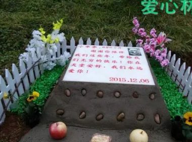 宠物天堂墓地昌平 | 宠物墓地故事：老人为狗不离婚，狗一死马上去民政局