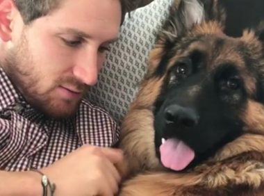 主人亲了一口狗狗，想不到狗狗反亲了一口，在这类事儿上不可以吃大亏