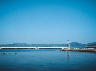 “奇葩”岛屿禁止任何狗上岛,却是猫咪的天堂