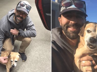 打动！英国一位热心人千里迢迢送小狗和垂危的主人团聚