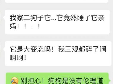 救命呀!我家狗子是大禽兽!它…它竟然睡了它亲妈……