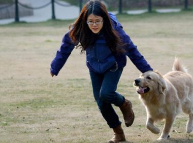 兽医告诉你,什么样的养狗方式是在毁狗?