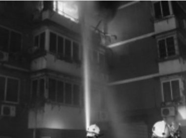 火宅狗狗舍命救主 索性两者都很安全