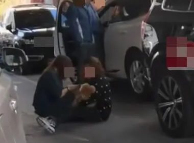 遛狗不拴绳致狗被车压死，女子狂扇自己脸部坐地大哭