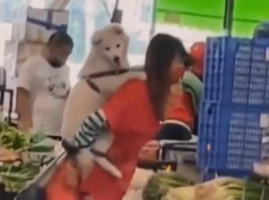 一女子，像背小孩一样，背着宠物狗去菜市场买菜