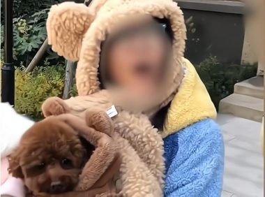 陕西一对夫妻遛狗不牵绳扑向小孩,吓到孩子后嚣张回应狗就比你娃金贵