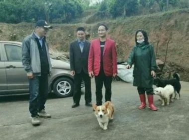愿做菩萨那朵莲:她孤身一人,18年收留180条流浪狗……