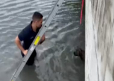 消防员壮汉神救援!一鼓作气拯救落水狗狗