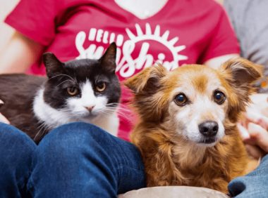 家中小猫吃里爬外偷跑出门，原来是找邻居家狗狗，分享自己的零食