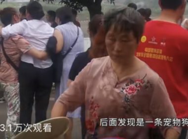 女生因狗掉河喊救命,男孩下河后溺亡,男孩疑似被误导