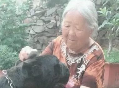 奶奶养了一只高加索犬卡斯罗，性情温和的像只小猫咪，狗：谁还不是个宝宝？