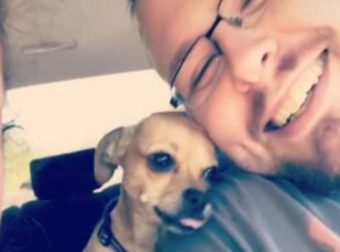 小狗超甜蜜撒娇挑衅主人妻子：主人最爱的还是我！