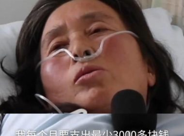流浪猫狗救助者不堪网络质疑服药自杀,邻居:她救助猫狗好多年
