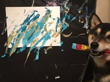 柴犬学会画画,还为主人赚了3万多,结果还供不应求