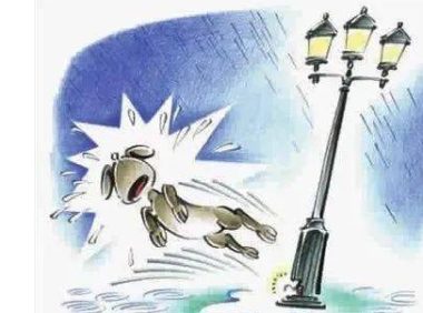 【以案普法】宠物狗路灯旁撒尿触电死亡，主人向物业索赔5万！