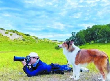 “宠物经济”催生市场新赛道：驯犬服务3000元-12000元不等