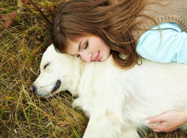 5年前救下这只金毛狗，5年后舍命报恩，是我们全家的恩人！