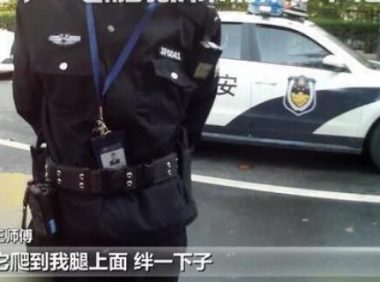 环卫工被狗拌了一下 狗主人给我的狗三鞠躬道歉