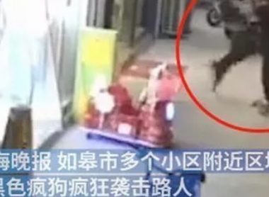 注意安全!江苏南通发现一条疯狗四处游荡，已咬伤21人