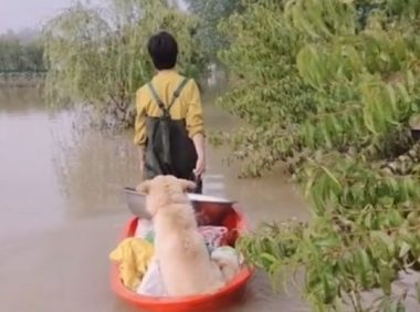 村子水淹了，女子顶风冒雨回家接狗狗，这一幕太令人动容了！