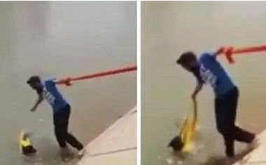 这个男子违背重于生命的教义 竟然只是为了救一只狗