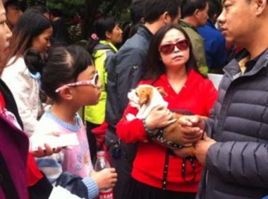 宠物狗禁入起争执，一家10口驾车千里到九寨沟未游负气而归