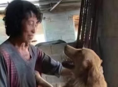 老人为救助流浪狗花掉80万，瘦成“纸片人”
