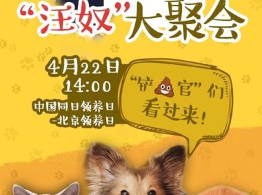 违规养狗会坐牢吗 | 铲屎官们注意了!违规养犬,你的爱犬会“坐牢”