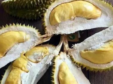 铲屎官回家吃榴莲，成果狗子疯狂闻自己屁股…笑喷了！