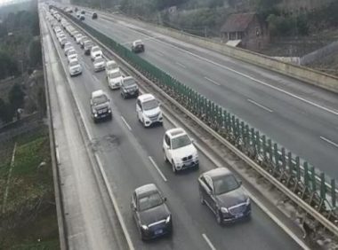 哈士奇误闯高速致堵车！网友：这次真的“堵成狗”