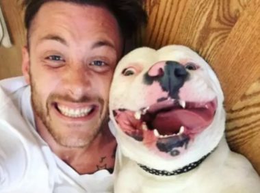 铲屎官在网络上晒了和自己小狗的照片，想不到警员居然找到了门