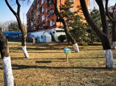 狗狗的“便便屋”——温馨之举，或许“没挠到痒处”！