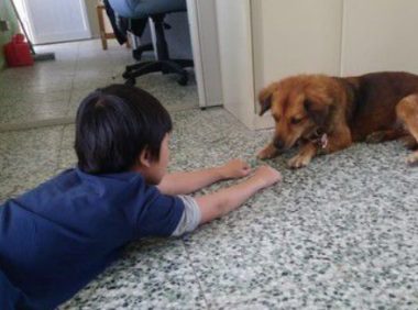 男孩每节下课都会去找校犬 上演偶像剧画面