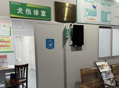 广西男童被狗抓伤，狗死亡后男童也死亡