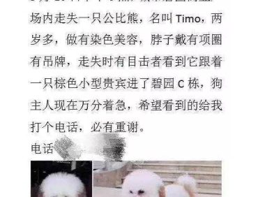 女子捡到狗向主人索要4500元，被曝光后称：等着给它收尸吧！