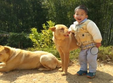 两劫匪夜里打劫加油站，英勇狗狗奋不顾身赶走劫匪，被赞忠犬