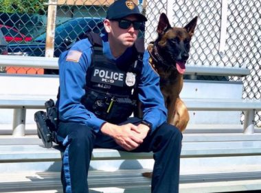 这警犬简直表情包!网友:它下班后跟我家傻狗差不多