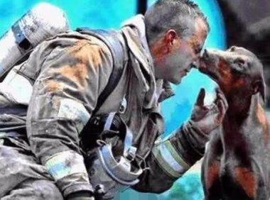 消防人员火灾现场解救小狗，狗狗下面的行为让现场的人都泪崩了！