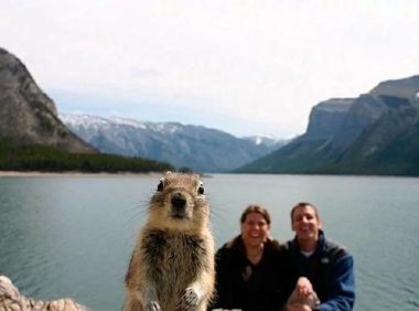 宠物们专业抢镜，镜头下的主人比狗狗更呆萌，成了最大的主角