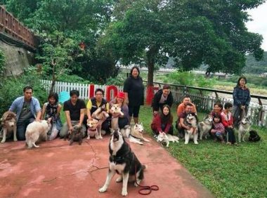 哈士奇过世11六个月后，主人家生辰当日发觉它的头发，见到就泪崩了！