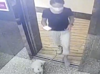 广东一女子带狗坐电梯绳子被卡，电梯启动狗吊在半空，网友：活该