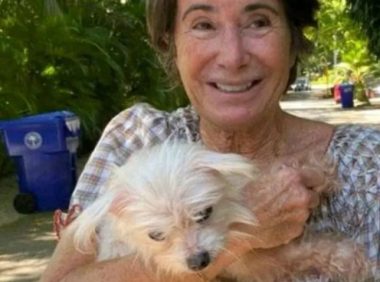 狗狗不慎走丢，7年艰辛流浪，离家1200公里，14岁有幸再遇主人！