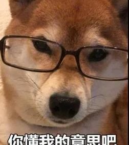 如何一句话证明你养了狗？