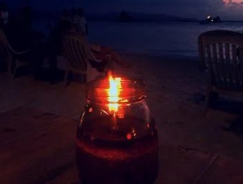 猫咪高级待遇 | 与狗烛光晚餐，猫睡家里主卧，宠物们的高级待遇让我受到万点暴击